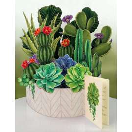 Cactus Garden Pop-Up Card