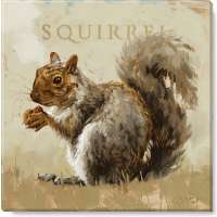 Squirrel 5x5 Print