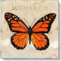 Monarch Print - 5 x 5 in.