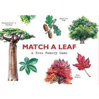 Match A Leaf Game