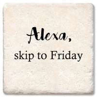 Alexa Skip To Friday Coaster