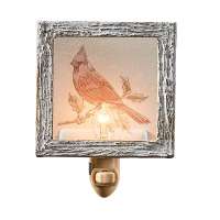 Wild & Beautiful Cardinal Night Light